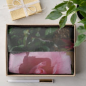 Rosa Rose und Bud Garden Seidenpapier (Geschenk)