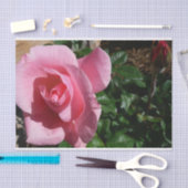 Rosa Rose und Bud Garden Seidenpapier (Handwerk)