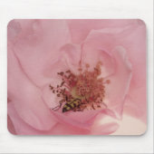 Rosa Rose und ein Bug Fotografy Mousepad (Vorne)