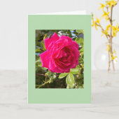Rosa Rose und eine Fliege Karte (Gelbe Blume)