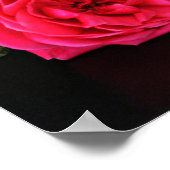 Rosa Rose und karierte Vase Poster (Ecke)
