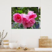 Rosa Rose und Regentropfen Poster (Küche)