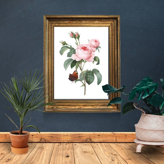 Rosa Rose und Schmetterling Poster