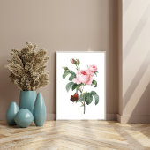 Rosa Rose und Schmetterling Poster