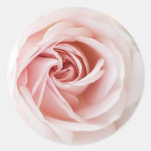 Rosa Rose und Weißholz Shabby Chic Brautparty Runder Aufkleber