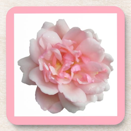 Rosa Rose Untersetzer (Vorderseite)