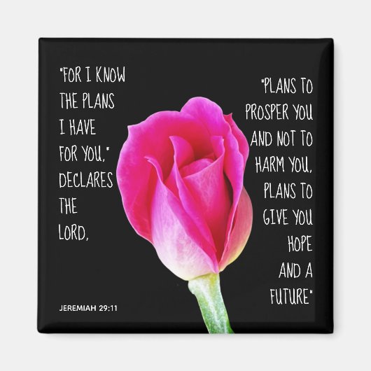 Rosa Rose, Vers von Jeremiah 29:11 Magnet (Vorne)