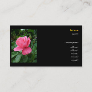 rosa Rose Visitenkarte