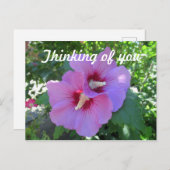 Rosa Rose von Sharon Blume Foto Denken Sie an Sie Postkarte (Vorne/Hinten)