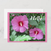 Rosa Rose von Sharon Blume Foto Hallo Postkarte (Vorne/Hinten)