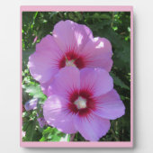 Rosa Rose von Sharon Foto Fotoplatte (Vorderseite)