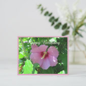 Rosa Rose von Sharon Foto Geburtstag Postkarte (Stehend Vorderseite)