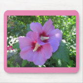 Rosa Rose von Sharon Foto Mousepad (Vorne)