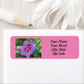 Rosa Rose von Sharon Foto Rücksendeadressen-Aufkle (Insitu)