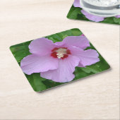 Rosa Rose von Sharon Party Untersetzer (angewinkelt)