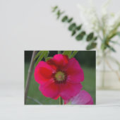 Rosa Rose von Sharon Postkarte (Stehend Vorderseite)