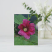 Rosa Rose von Sharon Postkarte (Stehend Vorderseite)