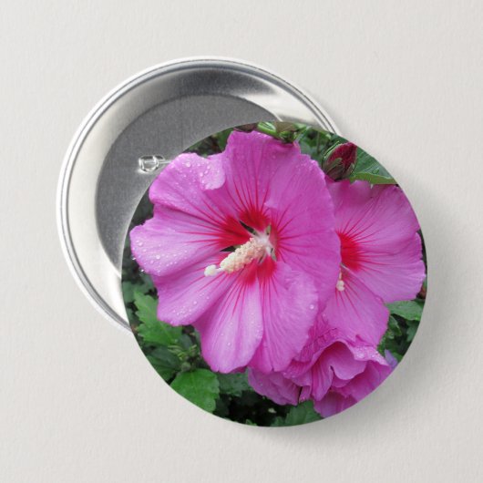 Rosa Rose von Sharon Raindrops Petals Blume Foto Button (Vorne & Hinten)