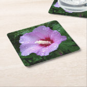 Rosa Rose von Sharon Untersetzer (angewinkelt)