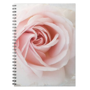 Rosa Rose & Weiß Holz Shabby Chic Landhaus Glam Notizblock