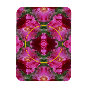 Rosa Rosen Abstrakter Rahmen Blütenbilder hinzufüg Magnet