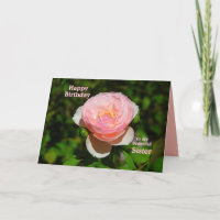 Rosa Rosen-alles Gute zum Geburtstag zur Schwester