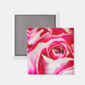 Rosa Rosen Aquarellkunst Magnet (Vorderseite/Rückseite)