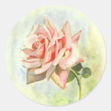 Rosa Rosen Aufkleber