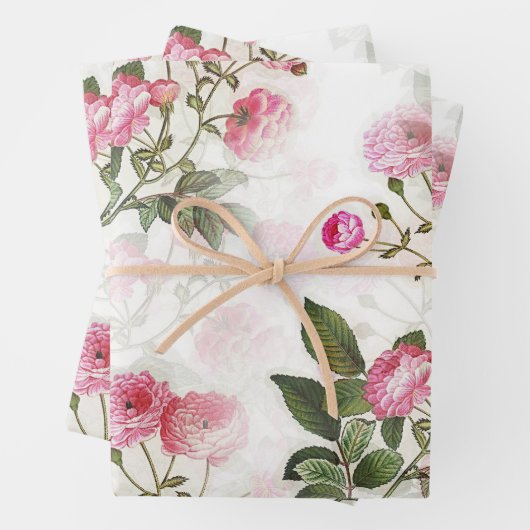 Rosa Rosen, blühend, Papier Set aus 3 Blättern (Beispiel)