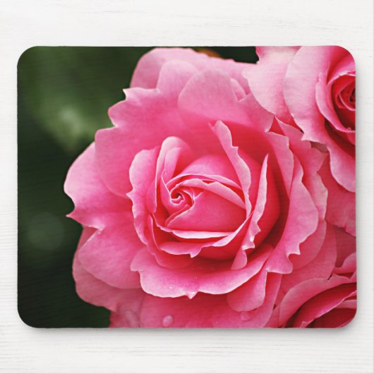 Rosa Rosen-Blumen-Blüte Mousepad (Vorne)