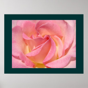 Rosa Rosen-Blumen-feine Kunst druckt Blumengarten Poster
