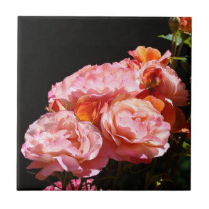 Rosa Rosen Blumen Fliesen Keramik Kunst Andenken S