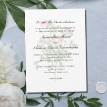 Rosa Rosen Blumen Klassische Formelle Elegante Hoc