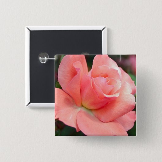 Rosa Rosen-Button Button (Vorne & Hinten)