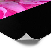 Rosa Rosen drucken Poster (Ecke)