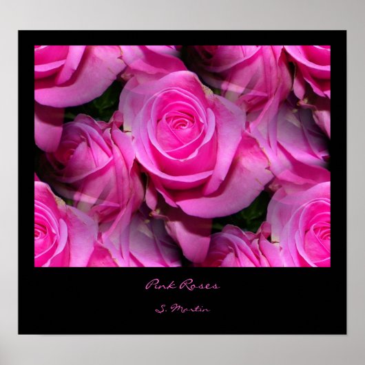 Rosa Rosen drucken Poster (Vorne)