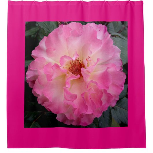 Rosa Rosen-Duschvorhang Duschvorhang (Vorderseite)