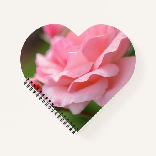 Rosa Rosen Eingewickelte Leinwand Notizblock (Vorderseite)