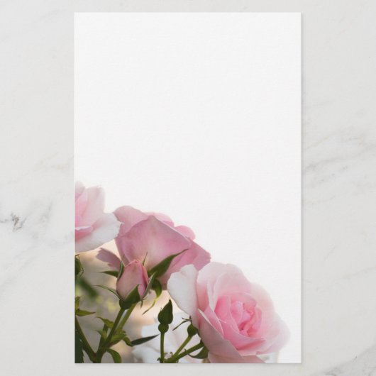Rosa Rosen Flyer (Vorne)