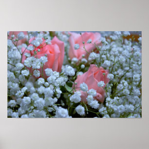Rosa Rosen Foto Poster