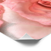 Rosa Rosen Fotodruck (Ecke)