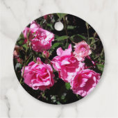 Rosa Rosen Geschenkanhänger (Vorderseite)