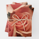Rosa Rosen Geschenkpapier Set (Beispiel)