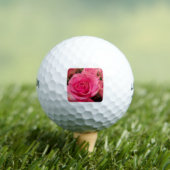 Rosa Rosen Golfball (Insitu T-Shirt)