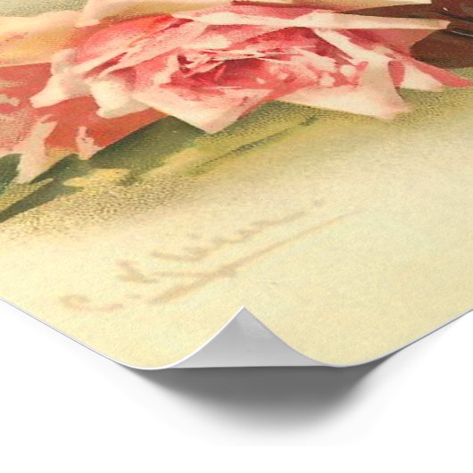 Rosa Rosen in einer Schüssel von Catherine Klein P Poster (Ecke)