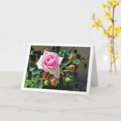 Rosa Rosen Karte (Gelbe Blume)