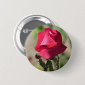 Rosa Rosen-Knopf Button (Vorne & Hinten)
