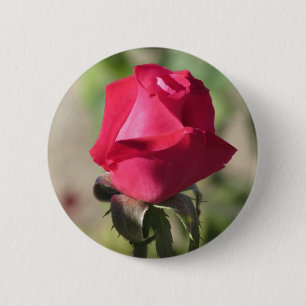 Rosa Rosen-Knopf Button