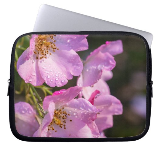 Rosa Rosen Laptopschutzhülle (Vorderseite)