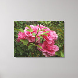 Rosa Rosen Leinwanddruck